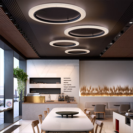 Roda PF150 Ceiling/Wall